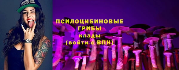 крисы Абдулино