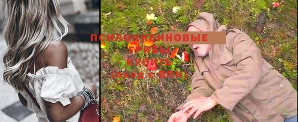 каннабис Абаза