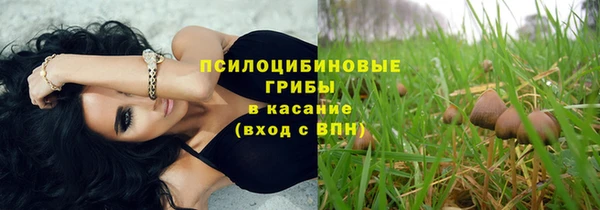 шишки Михайлов